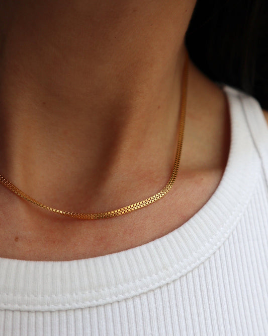 Double Box Choker Chain