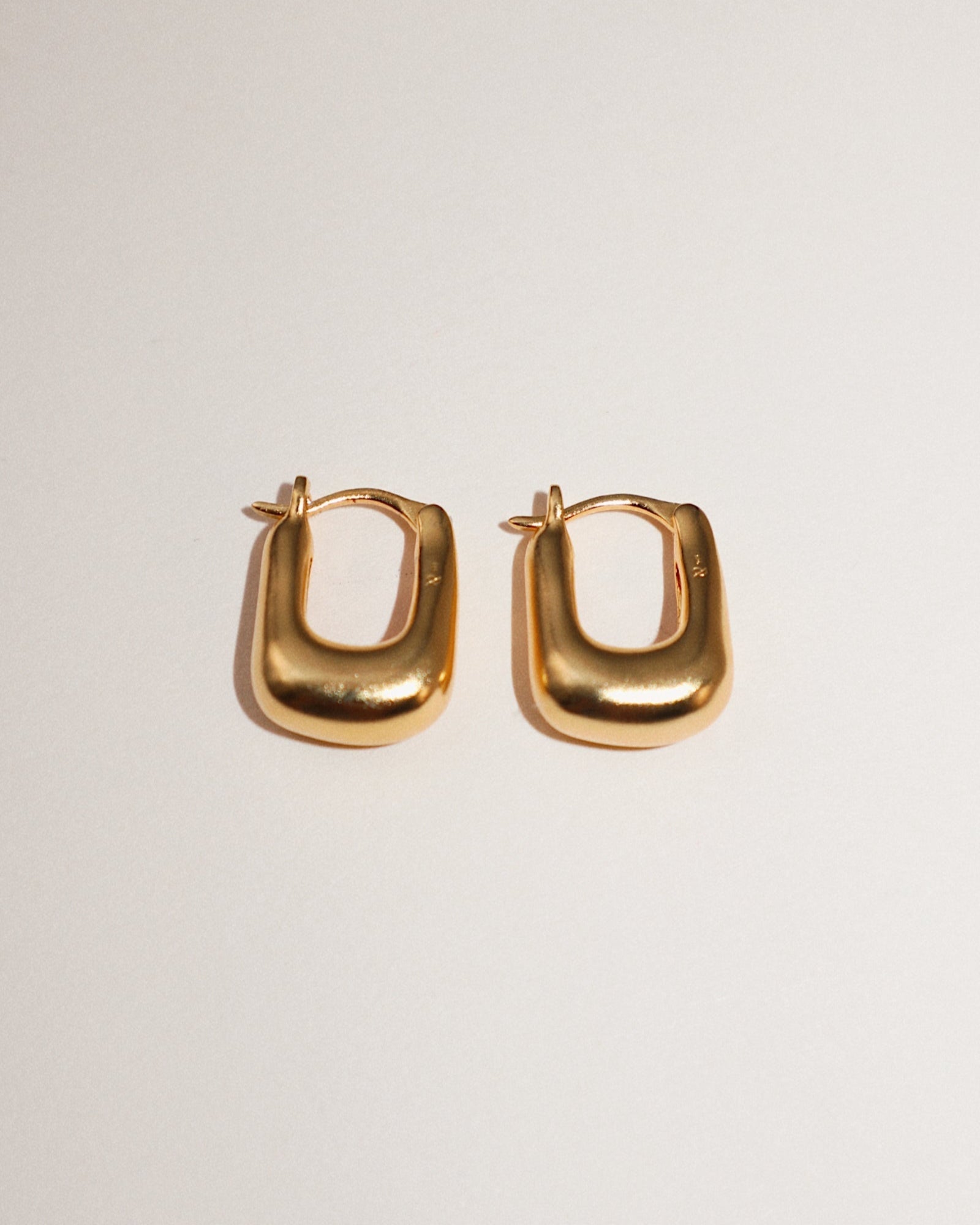 'Rumi' Chubby Hoop Earrings - Lines & Current