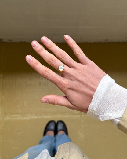 'Sigrid' Shell Ring - LINES AND CURRENT